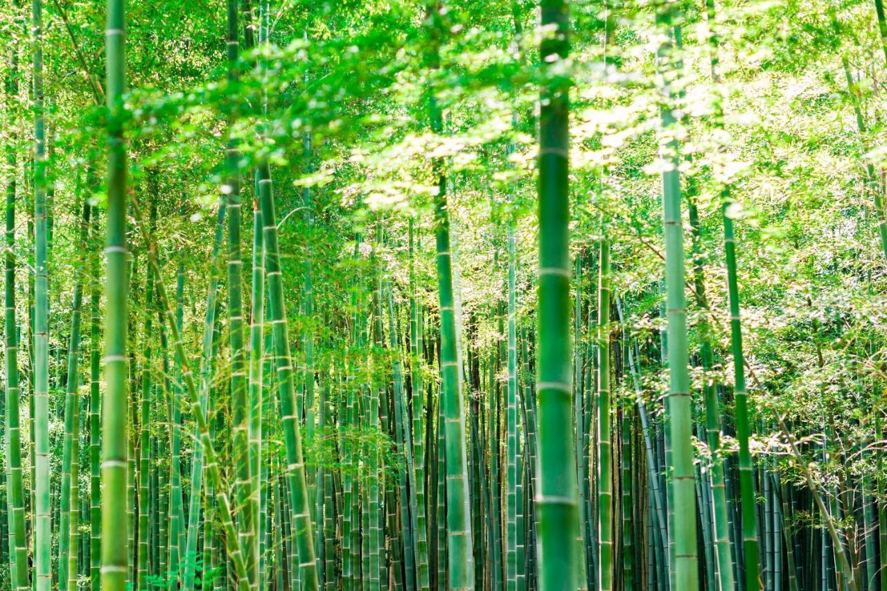 Suiran, A Luxury Collection Hotel, Kyoto Eksteriør bilde
